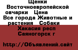 Щенки Восточноевропейской овчарки › Цена ­ 25 000 - Все города Животные и растения » Собаки   . Хакасия респ.,Саяногорск г.